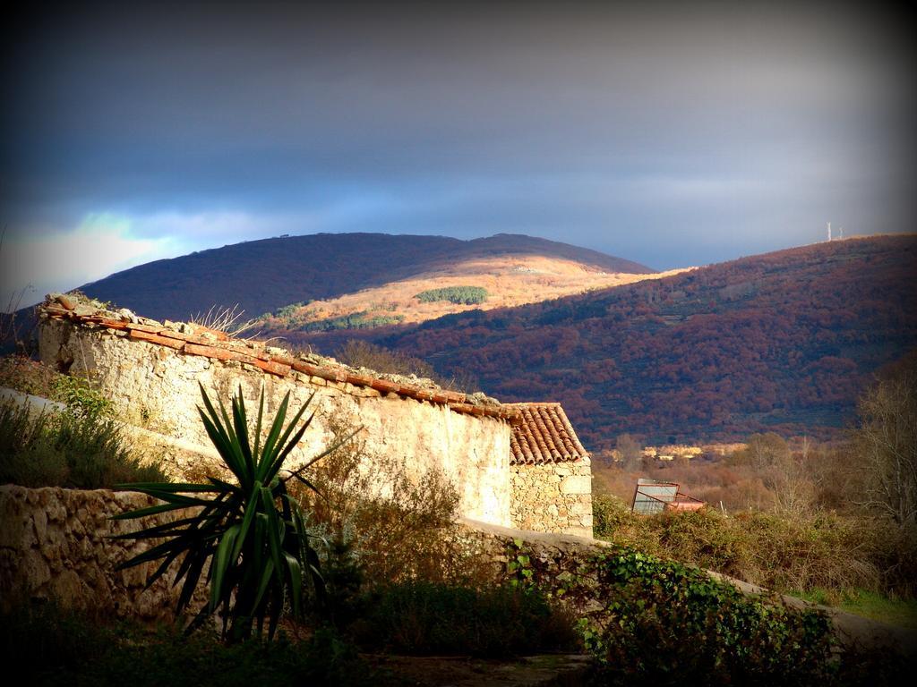 Almazara de San Pedro Konuk evi Eljas Dış mekan fotoğraf
